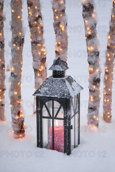Lantern with illuminated birch logs outdoors