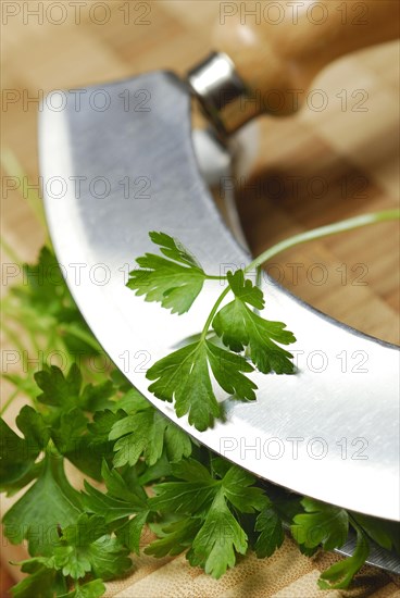 Parsley