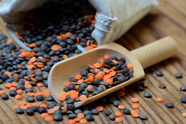 Red and green Lentils