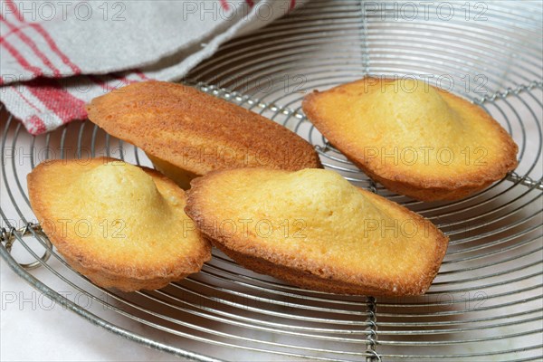 Madeleines on cake grid