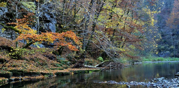 Wutach Gorge