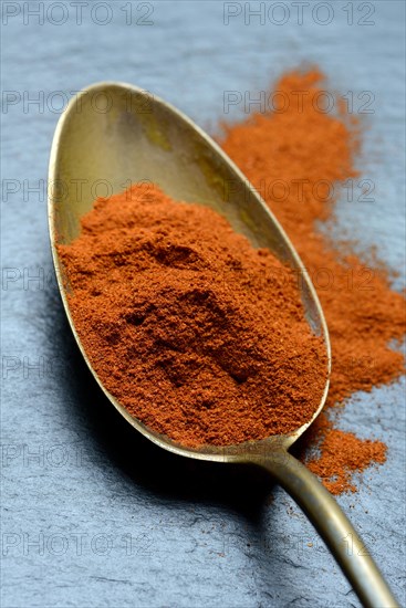 Paprika powder in spoon