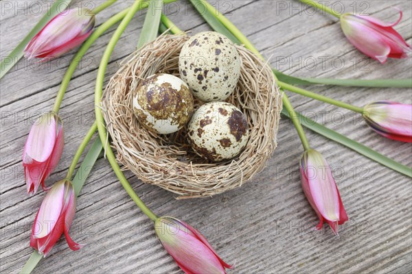 Natural Easter Decoration