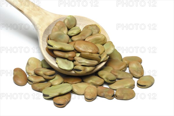 Dried fava beans