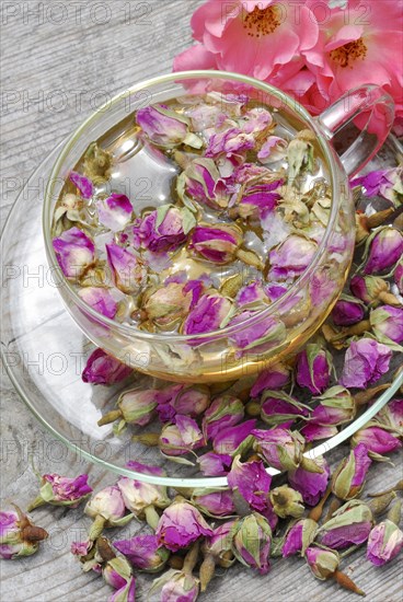 Rose tea in cup and rose buds