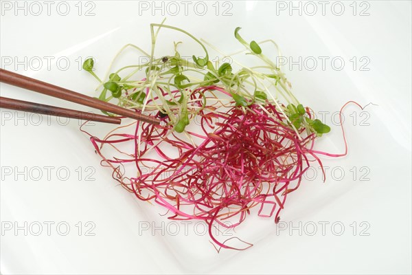 Beetroot sprouts