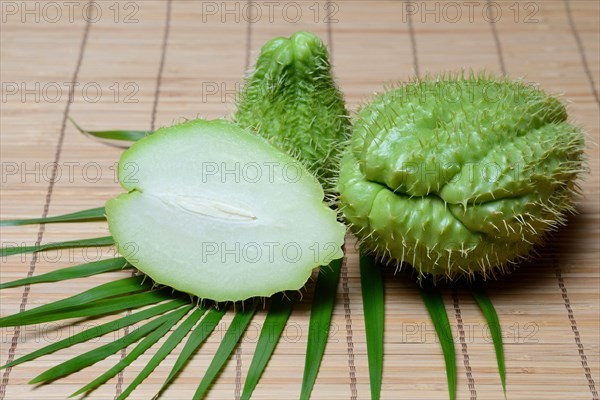 Chayote