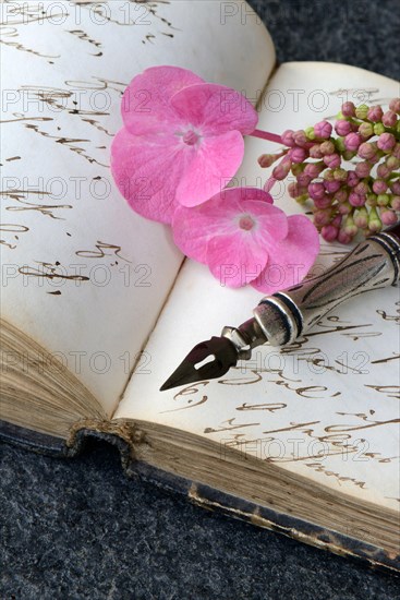 Penholder with quill on book with old manuscript and hydrangea blossom