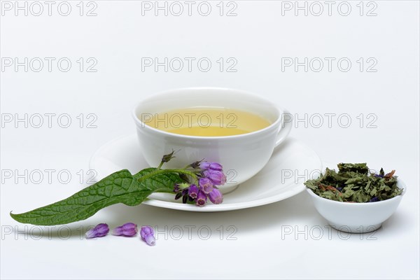 Cup of comfrey tea