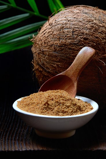 Coconut blossom sugar in shell and coconut