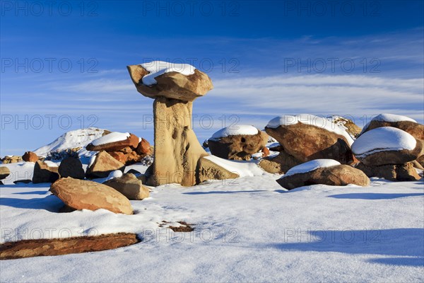 Bisti Badlands