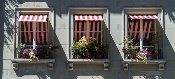 Facade of a house