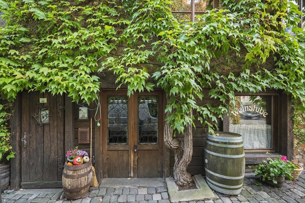 Entrance to the wine tavern