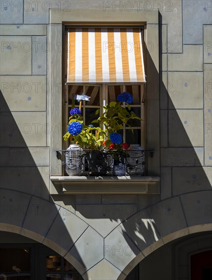 Facade of a house