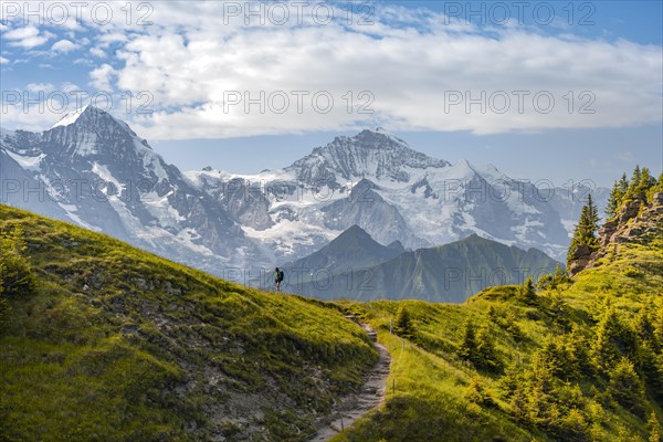 Hiker on hiking trail