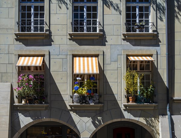 Facade of a house