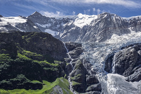 Glacier Grindelwald-Fieschergletscher and summit of Walcherhorn