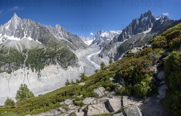 Glacier tongue Mer de Glace