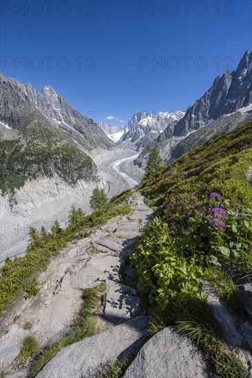 Hiking trail Grand Balcon Nord with view on glacier tongue Mer de Glace