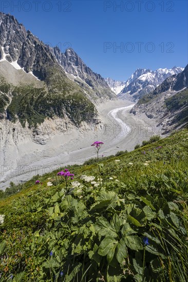 Glacier tongue Mer de Glace