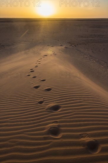 Footsteps in a sand dune at sunset