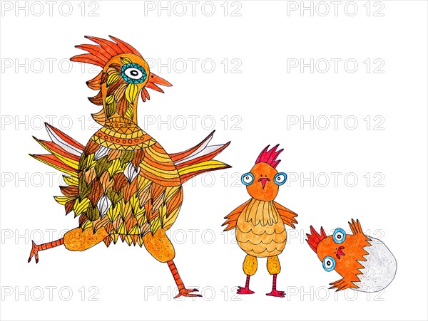 Colorful chicken with chicks