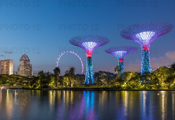 Supertrees at night