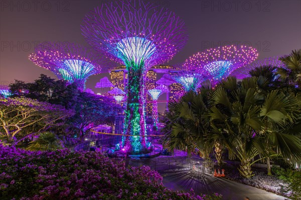 Supertrees at night