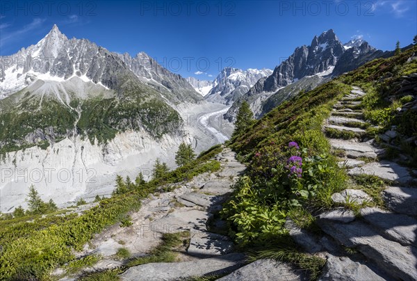 Hiking trail Grand Balcon Nord