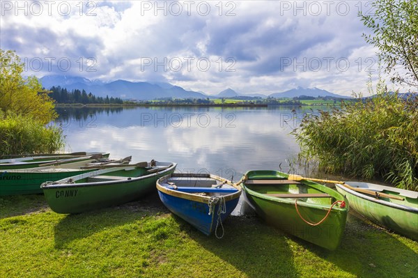 Rowing boats at the Forggensee