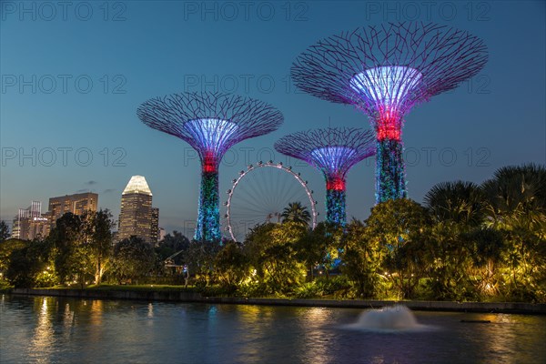 Supertrees at night