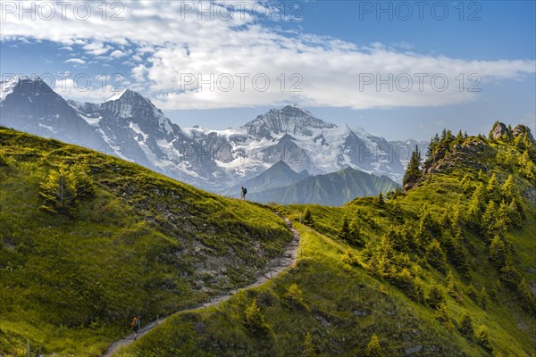 Hiker on hiking trail