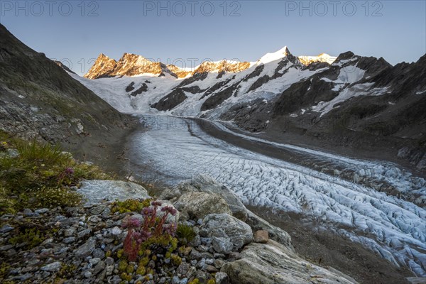 High alpine landscape