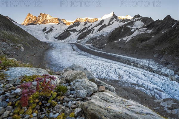 High alpine landscape