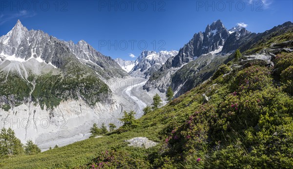 Glacier tongue Mer de Glace