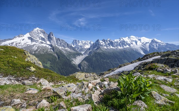 Hiker on hiking trail