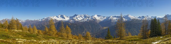 Autumn larch meadows