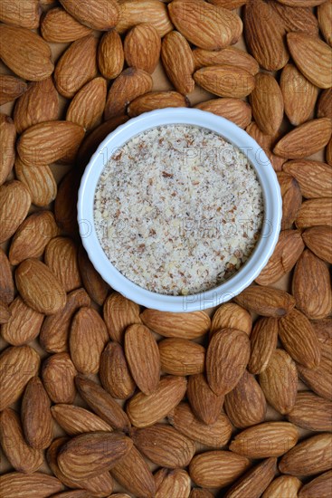 Ground almonds in shell and sweet almonds