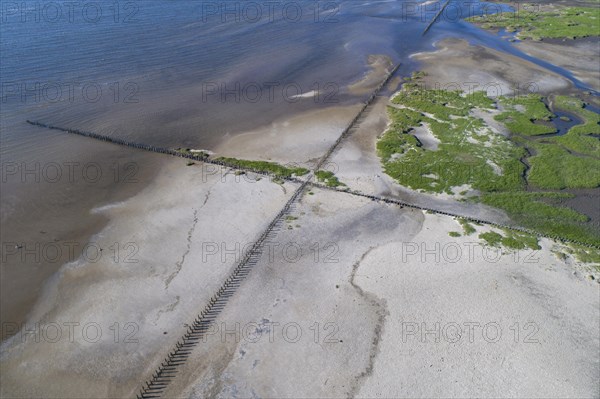 Salt marshes in front of the dike