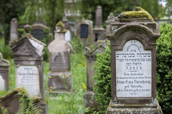 Gravestones at the Jewish cemetery