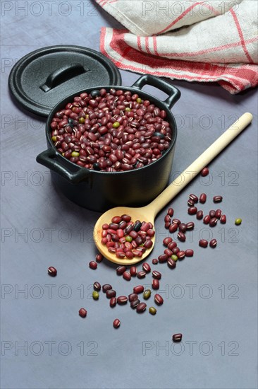 Dried beans in pot