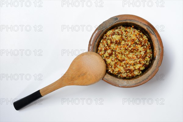 Grainy Dijon mustard in clay pot with wooden spoon