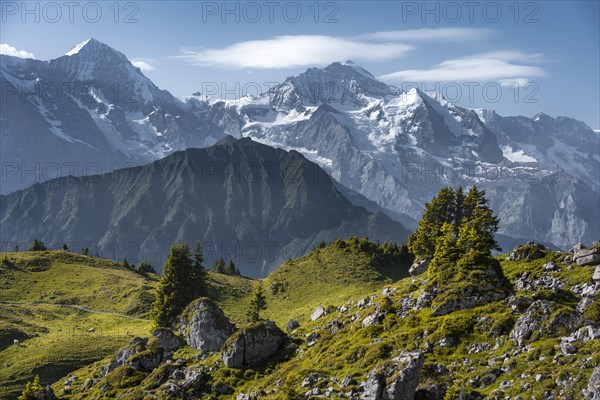 Snow-covered mountain peaks