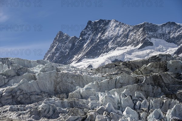 Glacier field