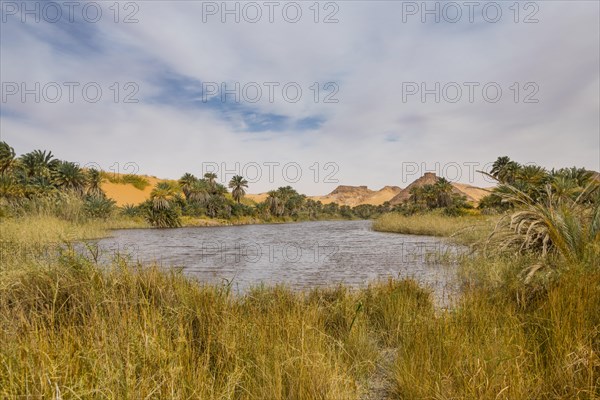 Fresh water lake as part of the the Unesco sight Ounianga lakes in the middle of the desert