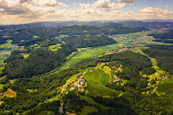 Aerial view of green hills and vineyards