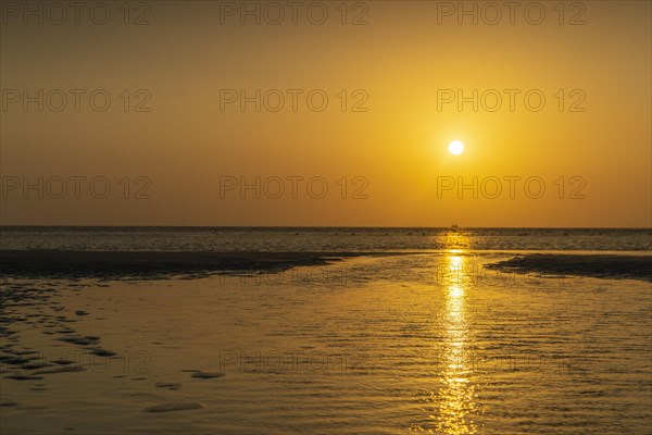 Mudflats in evening light