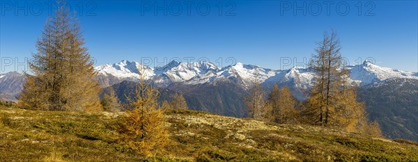 Autumn larch meadows