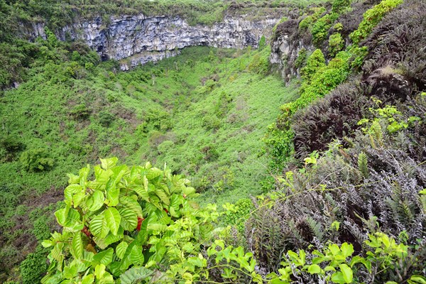 Twin Craters