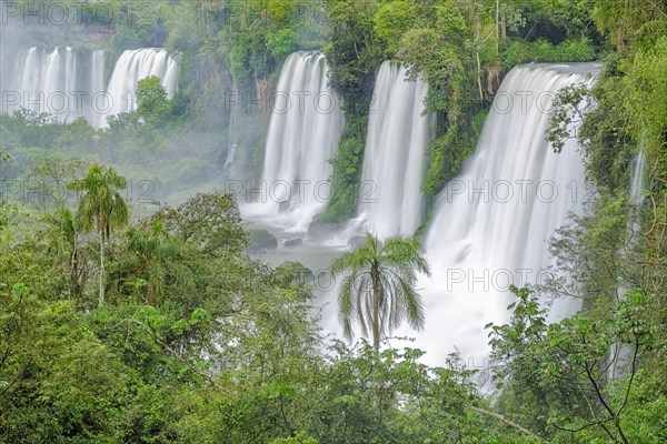 Iguazu Falls